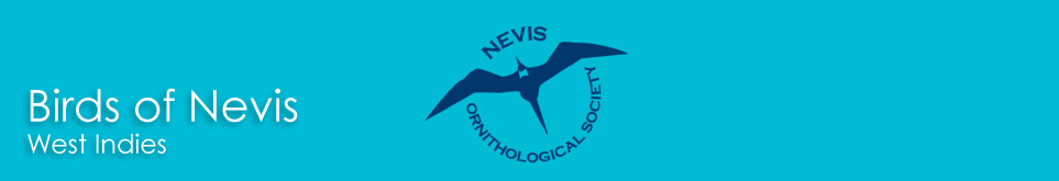 Birds of Nevis